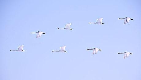 《守望先锋2》2023年周年活动开启 被玩家批评诚意不足